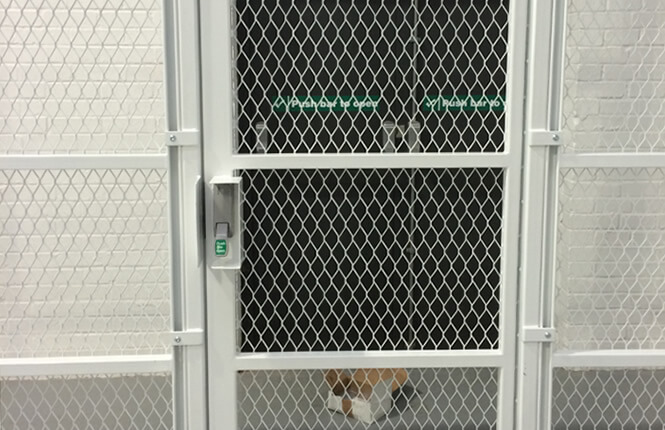 RSG4000 security enclosure with emergency fire exit gate.